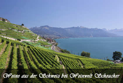 ´Weinberge in der Schweiz