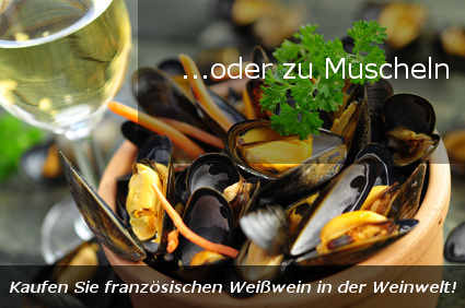 ´Ebenfalls ein Genuss: französischer Weißwein zu Muscheln