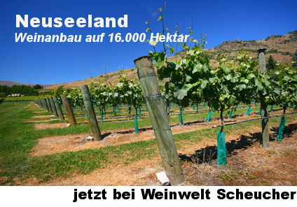 Weißwein aus Neuseeland bei Weinwelt Scheucher