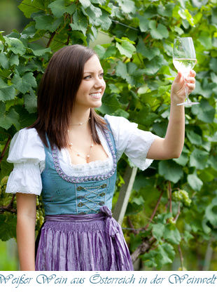 Weißwein aus Österreich bei Weinwelt Scheucher