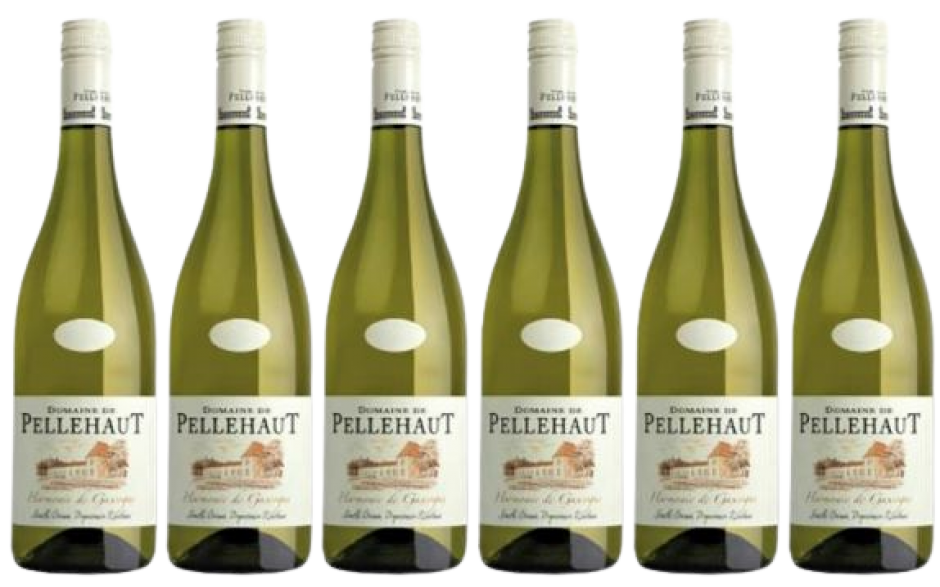 6 Flaschen Domaine de Pellehaut Gascogne Blanc Sparpack
