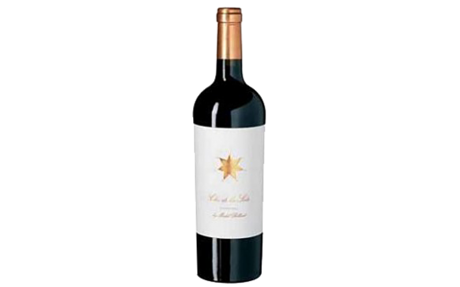 Clos de Los Siete by Michel Rolland 2013, Bodegas Monteviejo