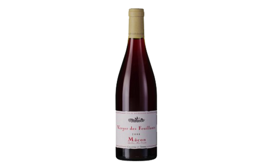 Macon Rouge Verger des Feuillants AOC, Collovray & Terrier