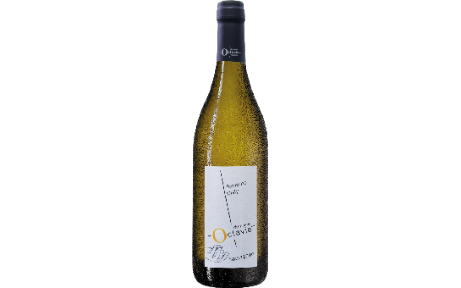 Sauvignon Touraine Blanc  Domaine Octavie