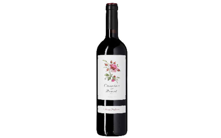 Camins del Priorat, Alvaro Palacios