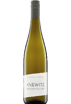Weißer Burgunder Weingut Knewitz