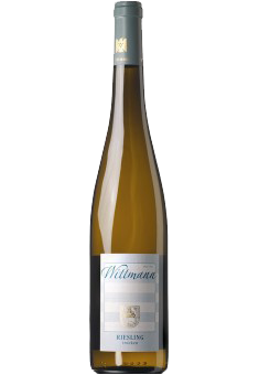 Wittmann Riesling tr. Weingut Wittmann