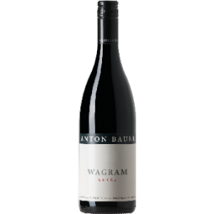 Wagram Cuvée tr. 2019, Anton Bauer