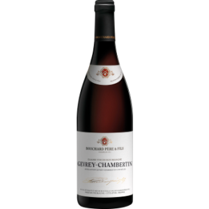 Gevrey Chambertin AOC 2019, Bouchard Père  & Fils