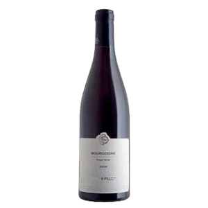 Bourgogne Pinot Noir AOC 2022, Domaine Lamy-Pillot