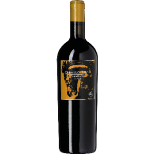 Grand Cru Limari Syrah 2022 (limitiert) Barrique, Caballo Loco