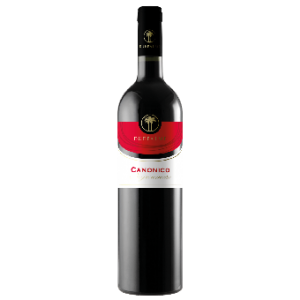 Canonico Salento Rosso IGT tr. 2022, Cantine Due Palme