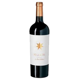 Clos de Los Siete by Michel Rolland 2019, Bodegas Monteviejo