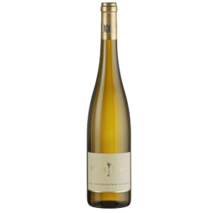 Riesling vom Porphyr Siefersheim tr. 2022 BIO (DE-ÖKO-022), Wagner-Stempel