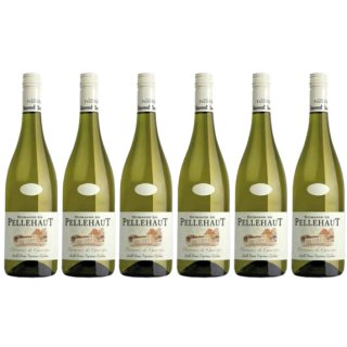 6 Flaschen Domaine de Pellehaut Gascogne Blanc Sparpack