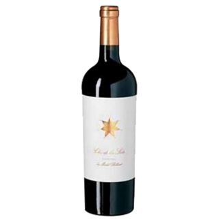 Clos de Los Siete by Michel Rolland 2013, Bodegas Monteviejo