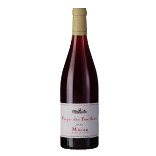 Macon Rouge Verger des Feuillants AOC, Collovray & Terrier