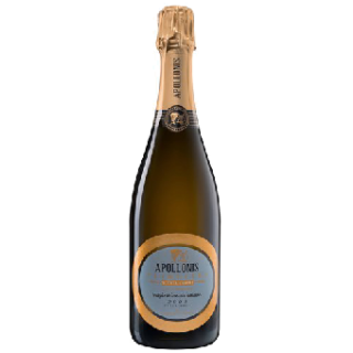 Appolonis Inspiration de Saison Millesime Extra Brut AOC, Michel Loriot